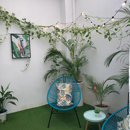 Casa Papagayo Apartman