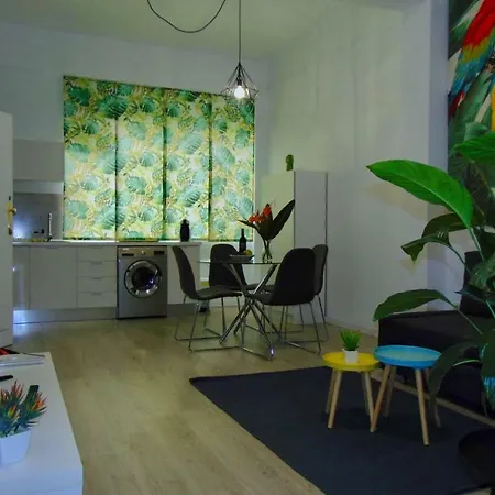 Casa Papagayo 산타크루스데 테네리페