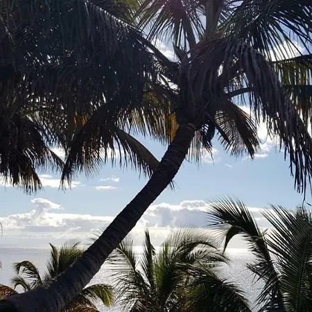 Apartman Casa Papagayo Santa Cruz de Tenerife