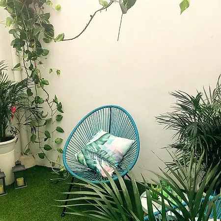 Casa Papagayo 산타크루스데 테네리페