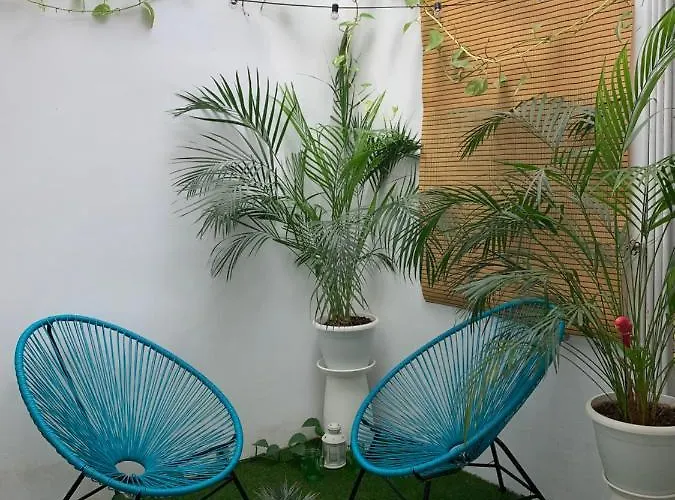 Lägenhet Casa Papagayo *