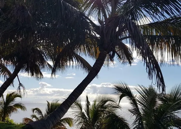 Lägenhet Casa Papagayo Santa Cruz de Tenerife