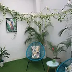 Casa Papagayo Appartamento