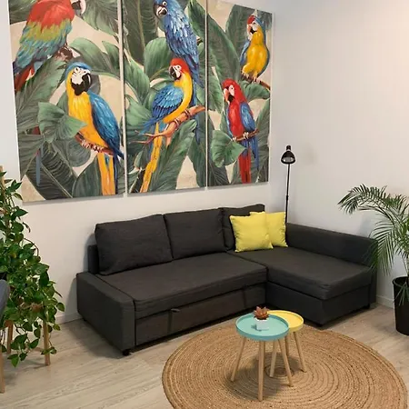 Casa Papagayo *
